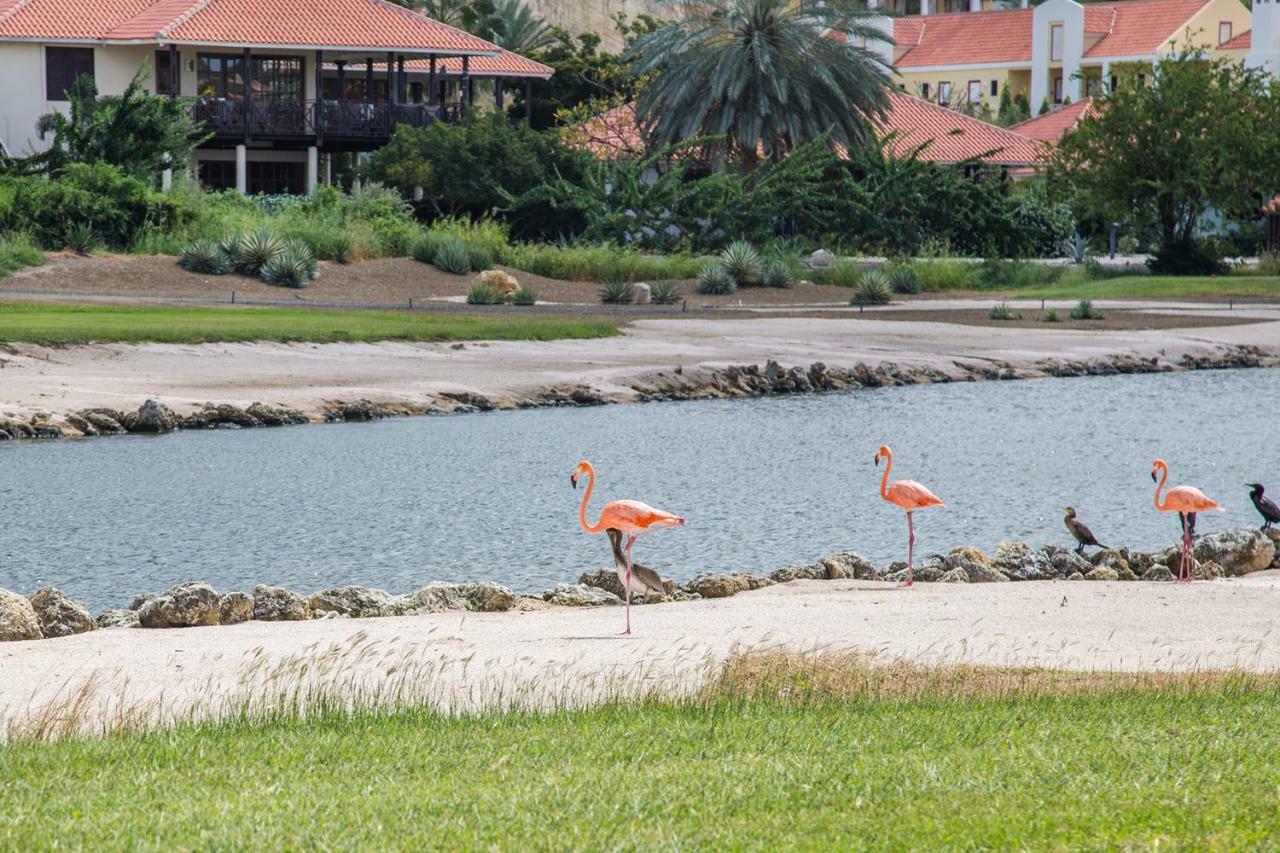 Blue Bay Beach Apartments Esterno foto